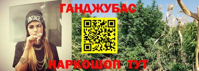 прущая мука Пугачёв